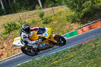 Slovakia-Ring;event-digital-images;motorbikes;no-limits;peter-wileman-photography;trackday;trackday-digital-images